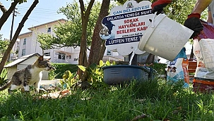 "TAM KAPANMADA CAN DOSTLARIMIZ EMİN ELLERDE"