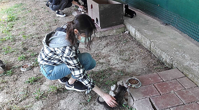 YAŞAR ÜNİVERSİTESİ ÖĞRENCİLERİ KEDİ KÖYÜNÜ ZİYARET ETTİ