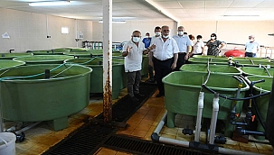 BAŞKAN GÖKHAN TEKNİK İNCELEME GEZİSİNDE