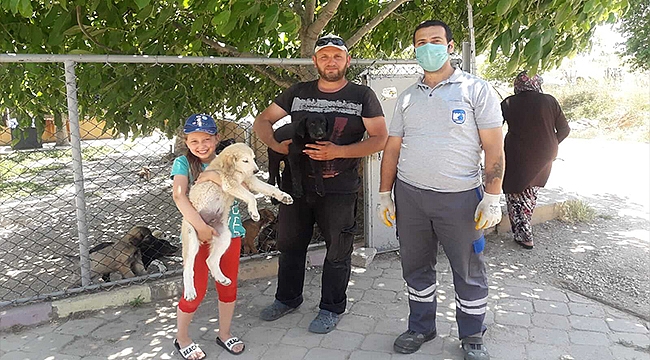 CAN DOSTLAR YENİ YUVALARINA KAVUŞUYOR