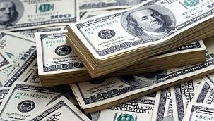 GÜNE DÜŞÜŞLE BAŞLAYAN DOLAR 8,69'DAN İŞLEM GÖRÜYOR!