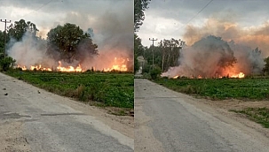 KÜÇÜKPAŞA İLE BÜYÜKPAŞA KÖYÜ ARASINDA YANGIN