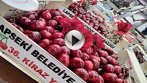 LAPSEKİ 36. KİRAZ YARIŞMASI YAPILDI