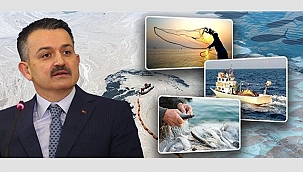 MÜSİLAJDAN ETKİLENEN BALIKÇILARA DESTEK VERİLECEK