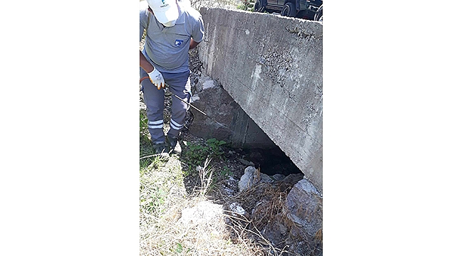 SİVRİSİNEK VE KARASİNEK İLE MÜCADELE DEVAM EDİYOR