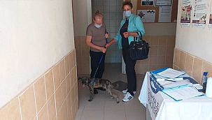 SOKAK HAYVANLARINA YÖNELİK ÇALIŞMALAR HIZ KESMİYOR