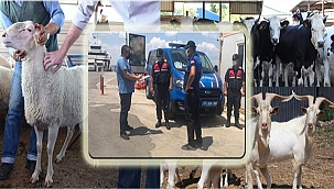 BAYRAM ÖNCESİ DENETİMLER ARTIRILDI