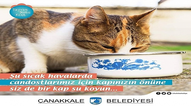 CAN DOSTLARIMIZI UNUTMAYALIM..!