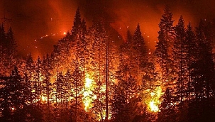 ORMAN YANGINLARINA KARŞI TEYAKKUZDAYIZ!