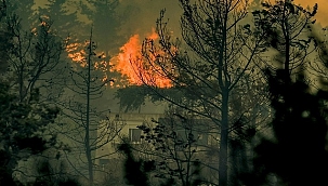 ORMANLARA GİRİŞLER YASAKLANDI