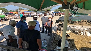 VALİ İLHAMİ AKTAŞ KURBAN PAZARINDA İNCELEMERDE BULUNDU..