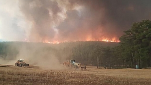 160 YANGIN KONTROL ALTINA ALINDI, 14 NOKTADA ALEVLERE MÜDAHALE EDİLİYOR!