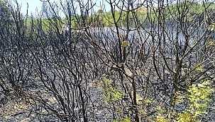 BİGA İTFAİYESİNDEN ANINDA MÜDAHALE 