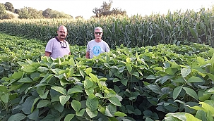 HİBE TOHUMLARLA ÜRETİM SAĞLANDI