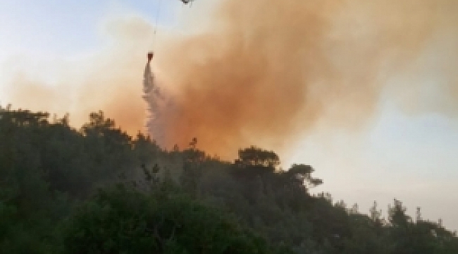 TAVAKLI'DA 3. KEZ YANGIN ÇIKTI! 