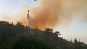 TAVAKLI'DA 3. KEZ YANGIN ÇIKTI! 