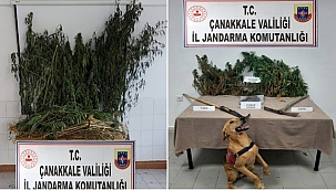 UYUŞTURUCU OPERASYONUNDA 2 KİŞİ TUTUKLANDI!