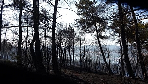 YANGIN KONTROL ALTINA ALINDI!