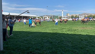 BAŞKAN ARSLAN 'ULUGAZİ YAĞLI GÜREŞLERİNE KATILDI