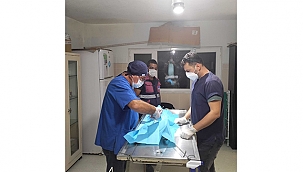 CAN DOSTLAR İÇİN ÇALIŞMALAR ARALIKSIZ DEVAM EDİYOR