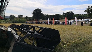 "DAMLAYA DAMLAYA ÇELTİK OLUR"