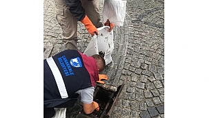 IZGARA TEMİZLİĞİ YAPILDI