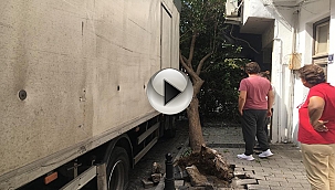 KAMYON AĞACI DEVİRDİ!