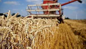 TARIMSAL GİRDİ FİYAT ENDEKSİ ARTIŞ GÖSTERDİ