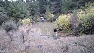 ÇAM AĞACINA ASILI BULUNDU!