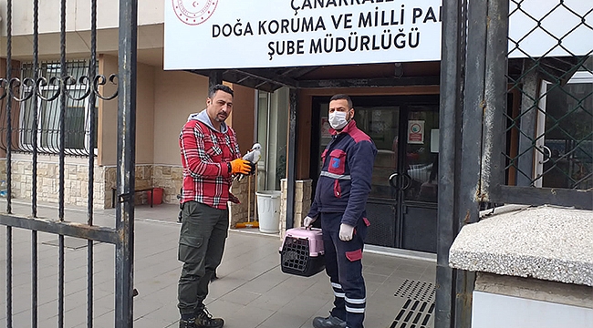 YARALI MARTI KURTARILDI