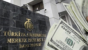 DÖVİZ VE ALTINDAN TL'YE DÖNÜŞEN HESAPLAR İÇİN YENİ KARAR!