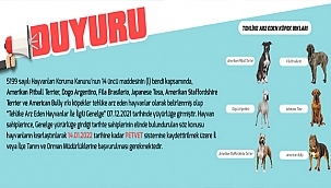 TEHLİKE ARZ EDİYORLAR!