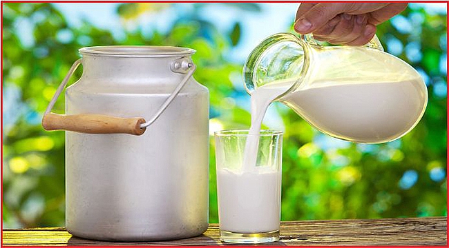 KEÇİ VE KOYUN SÜTÜ MALİYET HESABI PAYLAŞILDI