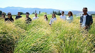 TARİHİ ALANDA YENİ BİR PROJE