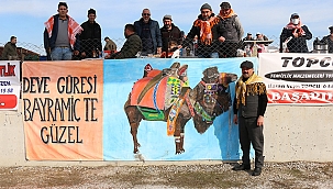 BAYRAMİÇ'TE ÖZLENEN DEVE GÜREŞİ COŞKULU GEÇTİ