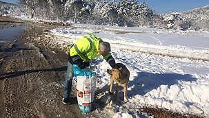 ÇAN BELEDİYESİ'NDEN SINIRLARI AŞAN SEVGİ!