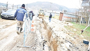 "HER ŞEY ÇANIMIZ İÇİN"