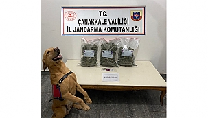 TATBİK UYUŞTURUCUYA 'DUR' DEDİ