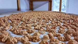 YEREL KALKINMA BİRİMİNDEN KOOPERATİF ZİYARETLERİ