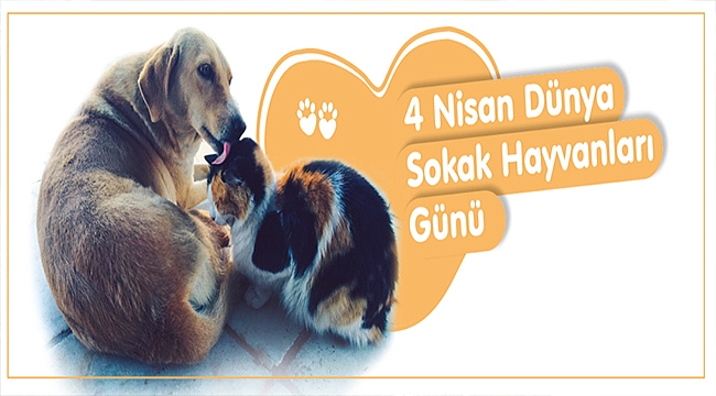 BAŞKAN GÖKHAN'IN 4 NİSAN DÜNYA SOKAK HAYVANLARI GÜNÜ MESAJI