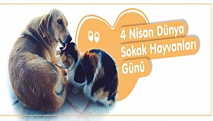 BAŞKAN GÖKHAN'IN 4 NİSAN DÜNYA SOKAK HAYVANLARI GÜNÜ MESAJI