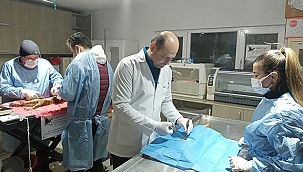 CAN DOSTLARIMIZ İÇİN ÇALIŞMALAR ARALIKSIZ SÜRÜYOR