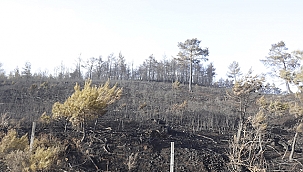 YANGIN BÖLGESİNDEN BEKLENEN HABER