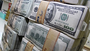 DOLAR GÜNE YÜKSELİŞLE BAŞLADI!