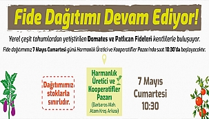 FİDE DAĞITIMI DEVAM EDİYOR