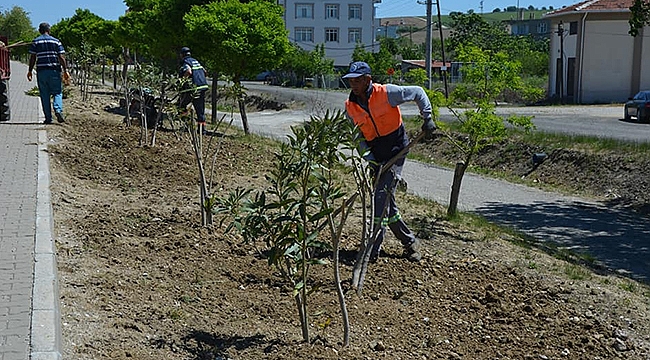 LAPSEKİ'DE YAZA HAZIRLIK BAŞLADI