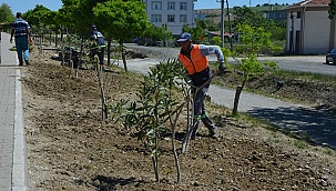 LAPSEKİ'DE YAZA HAZIRLIK BAŞLADI
