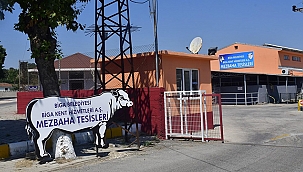 KURBAN KESİM BAŞVURULARI 20 HAZİRAN'DA BAŞLIYOR