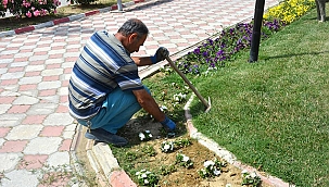 PARK VE BAHÇELERDE BAKIM ÇALIŞMASI YAPILDI