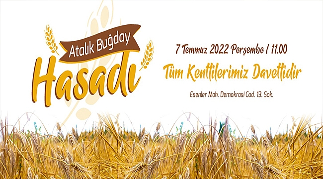 ATALIK BUĞDAY HASADINA DAVETLİSİNİZ